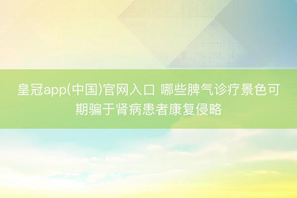 皇冠app(中国)官网入口 哪些脾气诊疗景色可期骗于肾病患者康复侵略