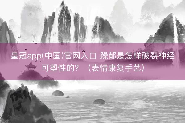 皇冠app(中国)官网入口 躁郁是怎样破裂神经可塑性的？（表情康复手艺）
