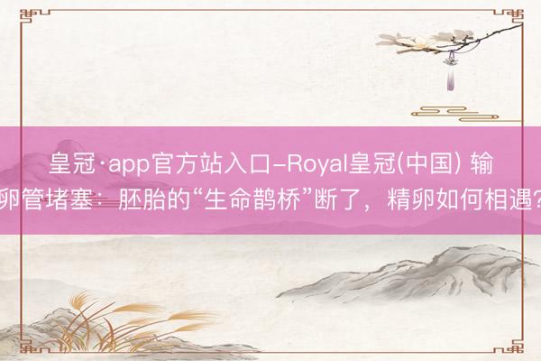 皇冠·app官方站入口-Royal皇冠(中国) 输卵管堵塞：胚胎的“生命鹊桥”断了，精卵如何相遇？