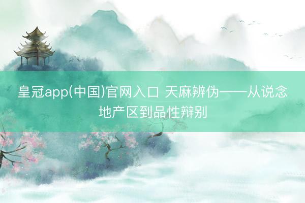 皇冠app(中国)官网入口 天麻辨伪——从说念地产区到品性辩别