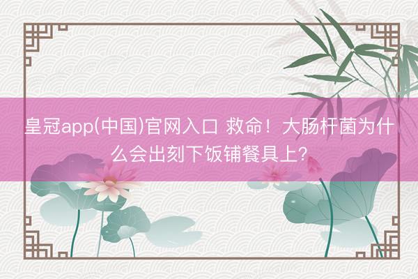 皇冠app(中国)官网入口 救命！大肠杆菌为什么会出刻下饭铺餐具上？