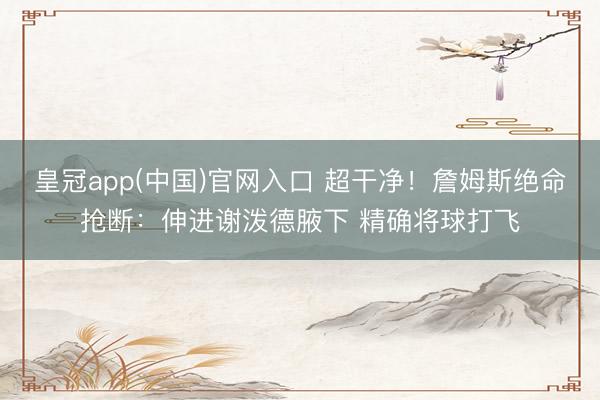 皇冠app(中国)官网入口 超干净！詹姆斯绝命抢断：伸进谢泼德腋下 精确将球打飞