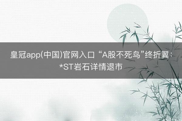 皇冠app(中国)官网入口 “A股不死鸟”终折翼：*ST岩石详情退市