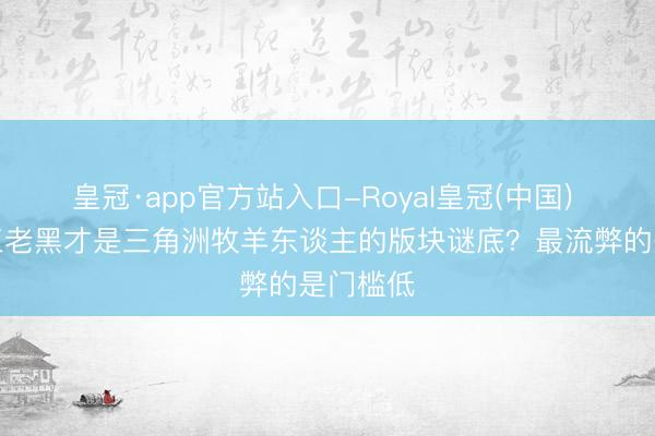 皇冠·app官方站入口-Royal皇冠(中国) 为什么三老黑才是三角洲牧羊东谈主的版块谜底？最流弊的是门槛低