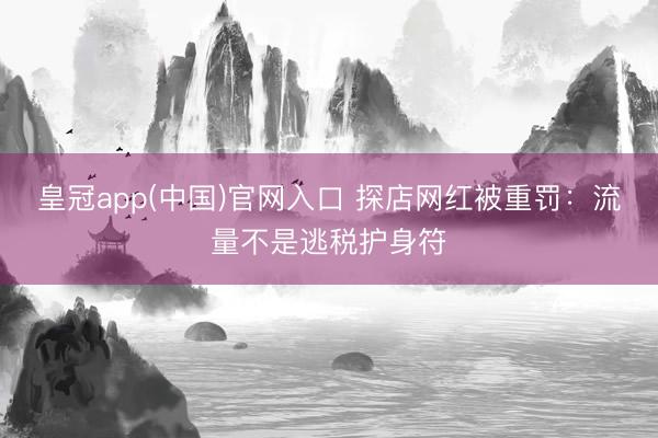 皇冠app(中国)官网入口 探店网红被重罚：流量不是逃税护身符