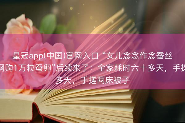 皇冠app(中国)官网入口 “女儿念念作念蚕丝被，姆妈网购1万粒蚕卵”后续来了：全家耗时六十多天，手搓两床被子