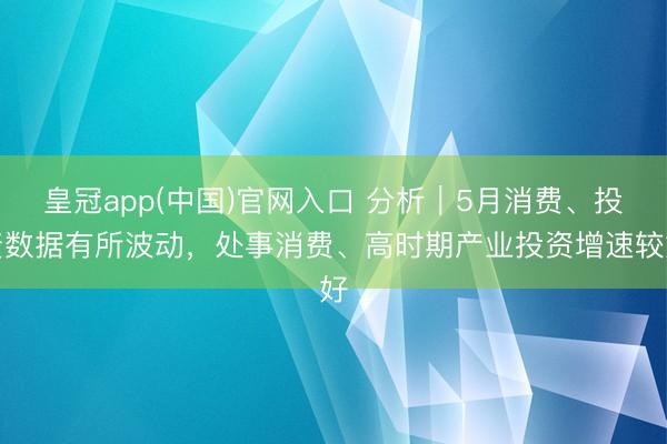 皇冠app(中国)官网入口 分析｜5月消费、投资数据有所波动，处事消费、高时期产业投资增速较好