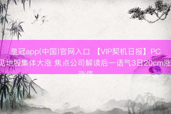 皇冠app(中国)官网入口 【VIP契机日报】PCB见地股集体大涨 焦点公司解读后一语气3日20cm涨停